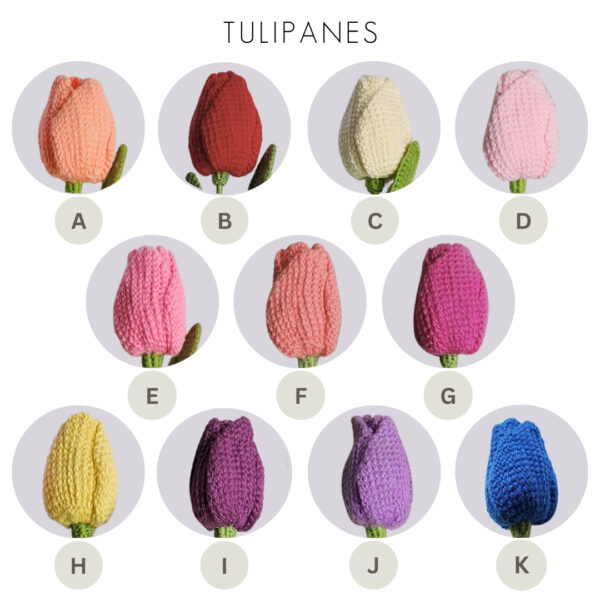 Tulipán - Imagen 5