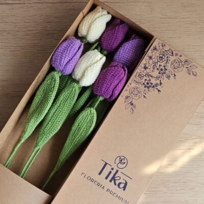 Tulipanes en Pack x6