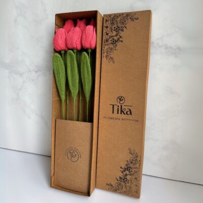 Tulipanes en Pack x6