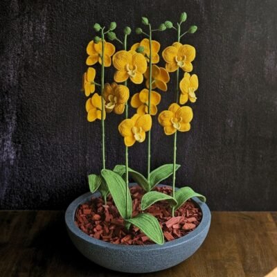 Orquídea Artemisa
