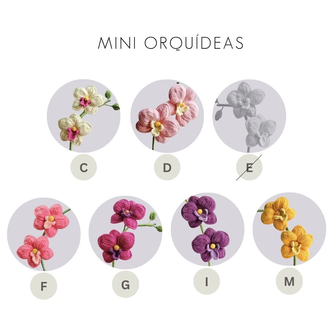 Mini Orquídea - Imagen 6