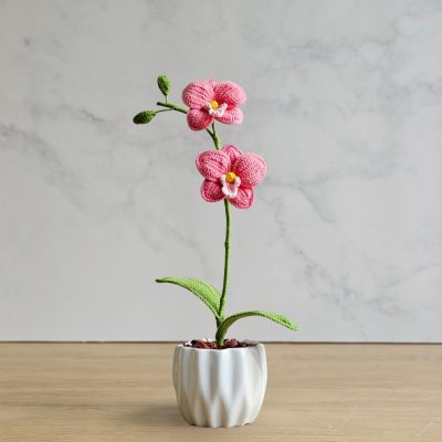 Mini Orquídea