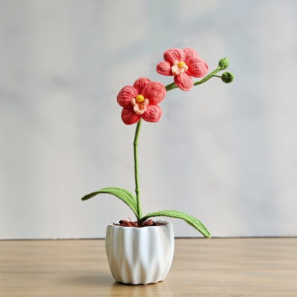 Mini Orquídea - Imagen 3