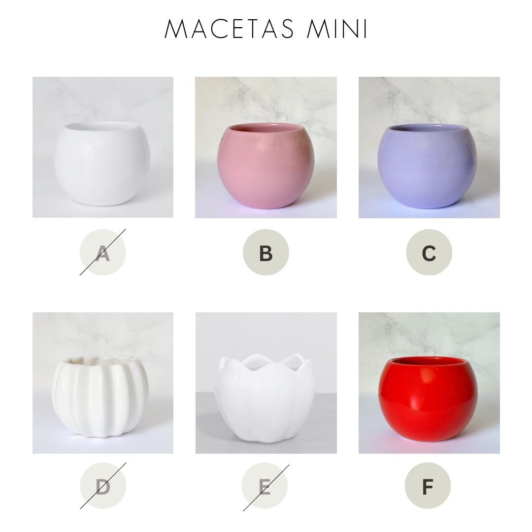 Vera - Imagen 5