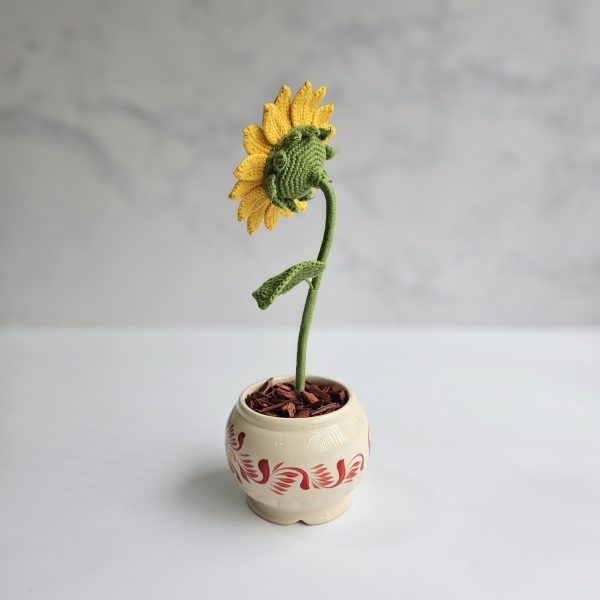 Mini Girasol en maceta - Imagen 2