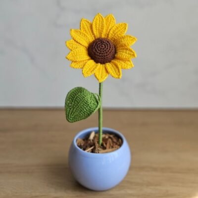 Mini Girasol en maceta