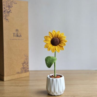 Mini Girasol en maceta