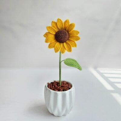 Mini Girasol en maceta