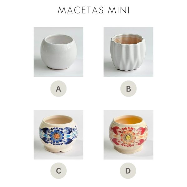 Rosa en maceta - Imagen 5