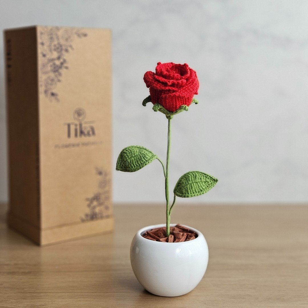 Rosa en maceta - Imagen 2