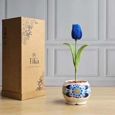 Tulipán en maceta