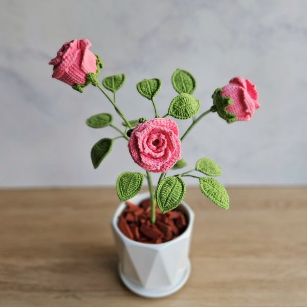Rosal Isis - Imagen 3