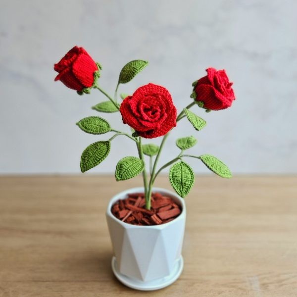 Rosal Isis - Imagen 2
