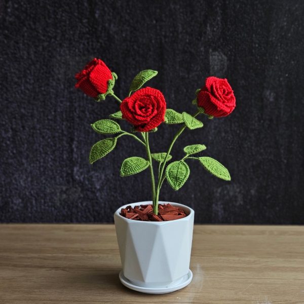 Rosal Isis