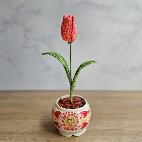 Tulipán en maceta