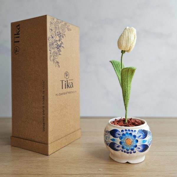 Tulipán en maceta - Imagen 3