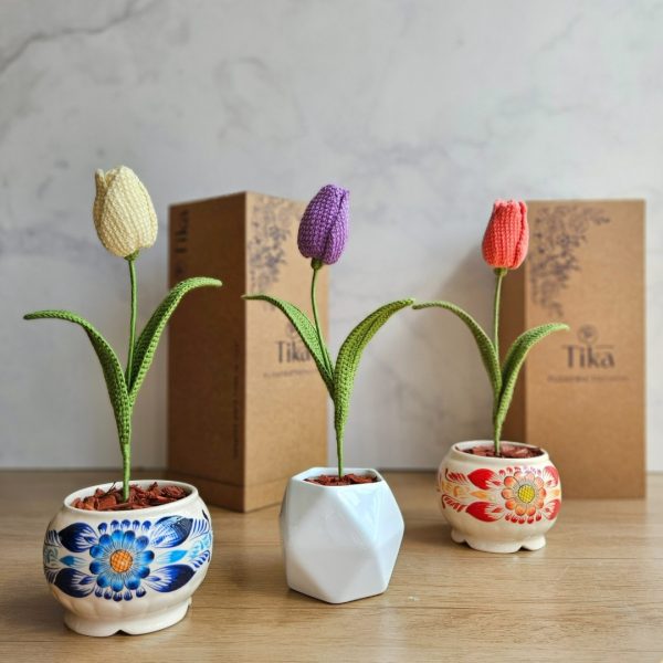 Tulipán en maceta - Imagen 4