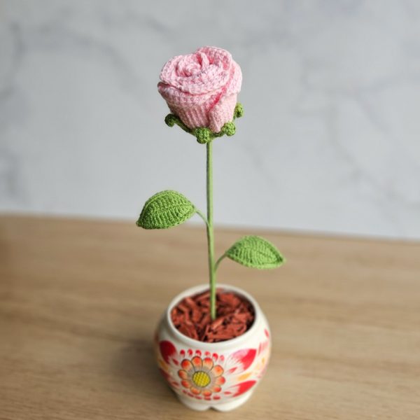 Rosa en maceta - Imagen 2