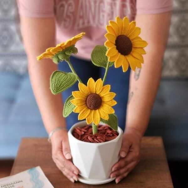Girasol Sunna - Imagen 5