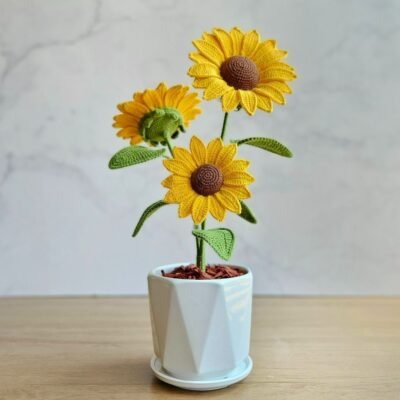 Girasol Sunna
