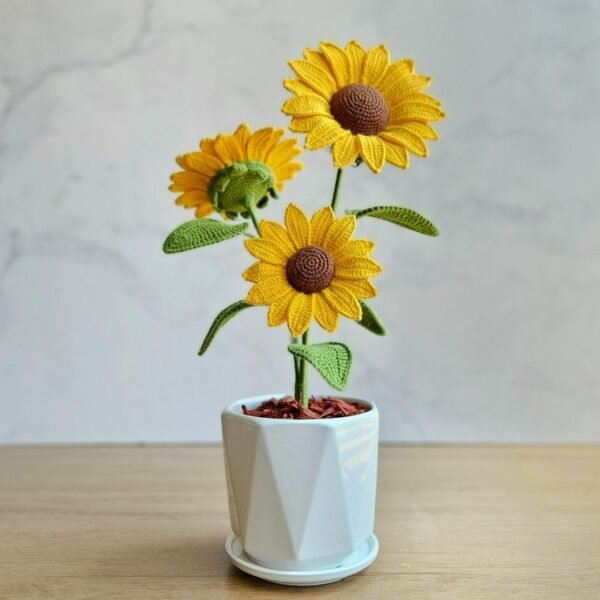 Girasol Sunna