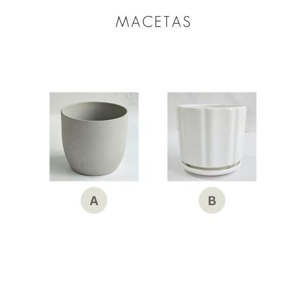 Anita - Imagen 4