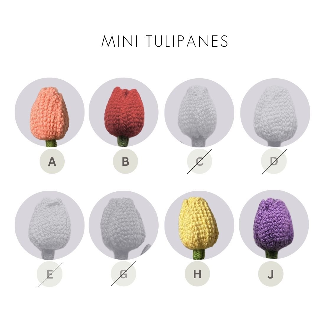 Ramo Mati - Imagen 4