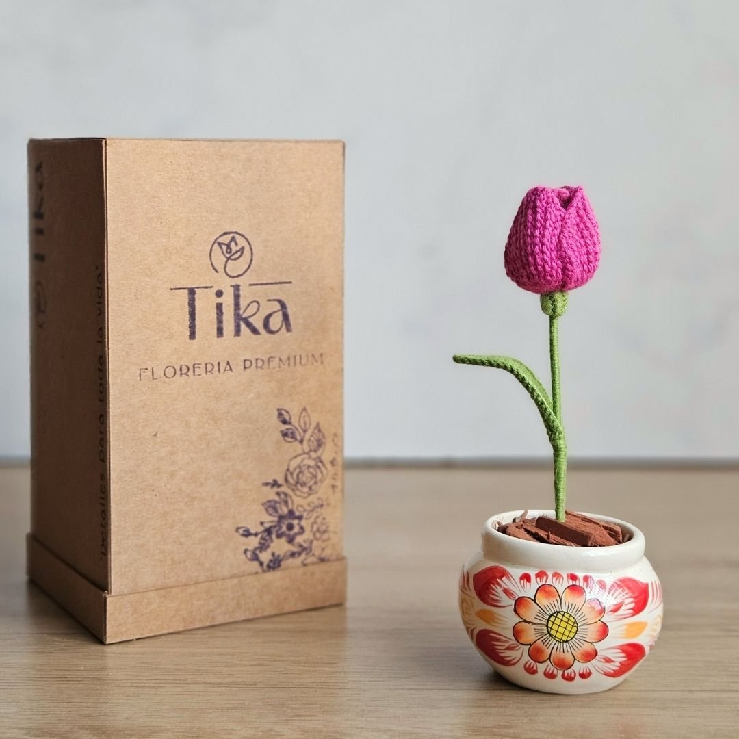Mini tulipán en maceta