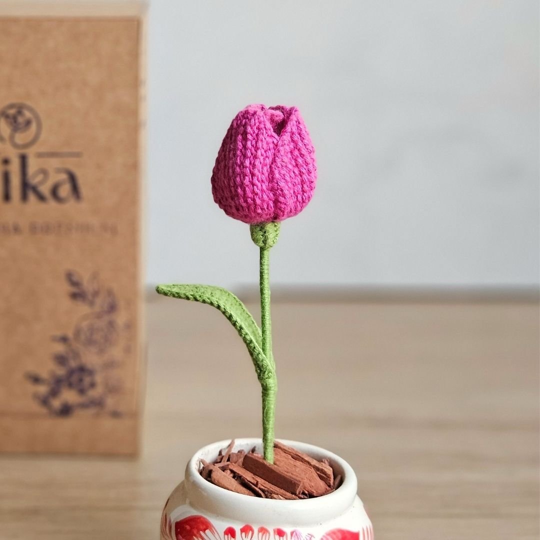 Mini tulipán en maceta - Imagen 2