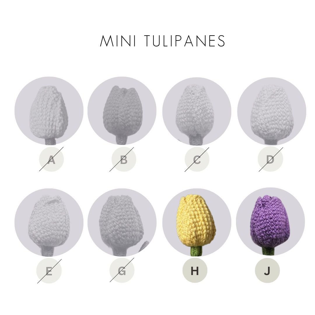 Mini Tulipanes en Pack x6 - Imagen 3