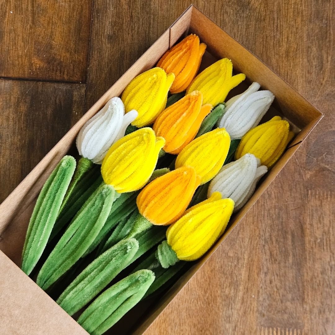 Tulipanes en pack x12