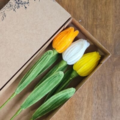 Tulipanes en pack x3